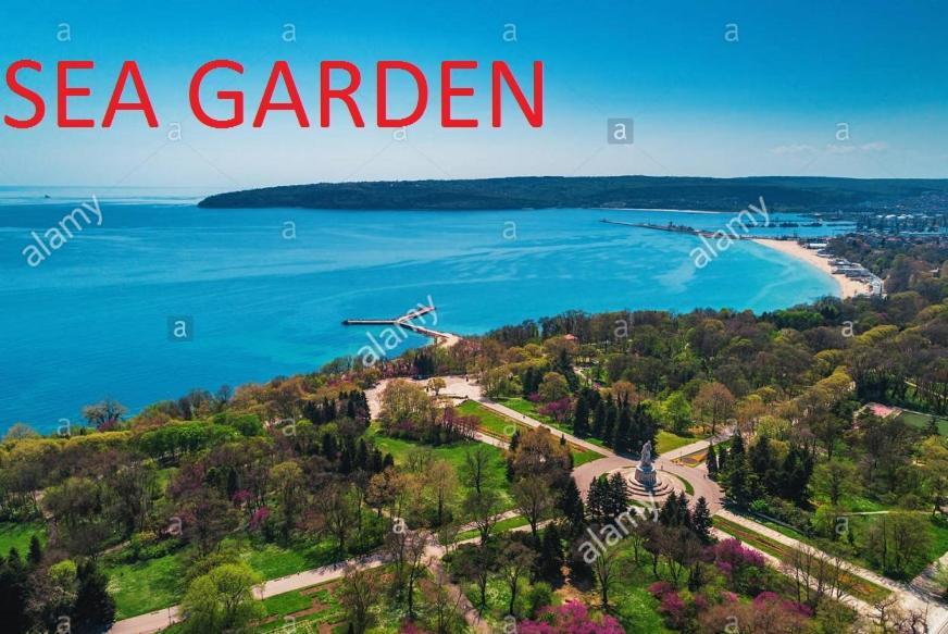 Sweet Home Near The Sea 瓦爾納 外观 照片